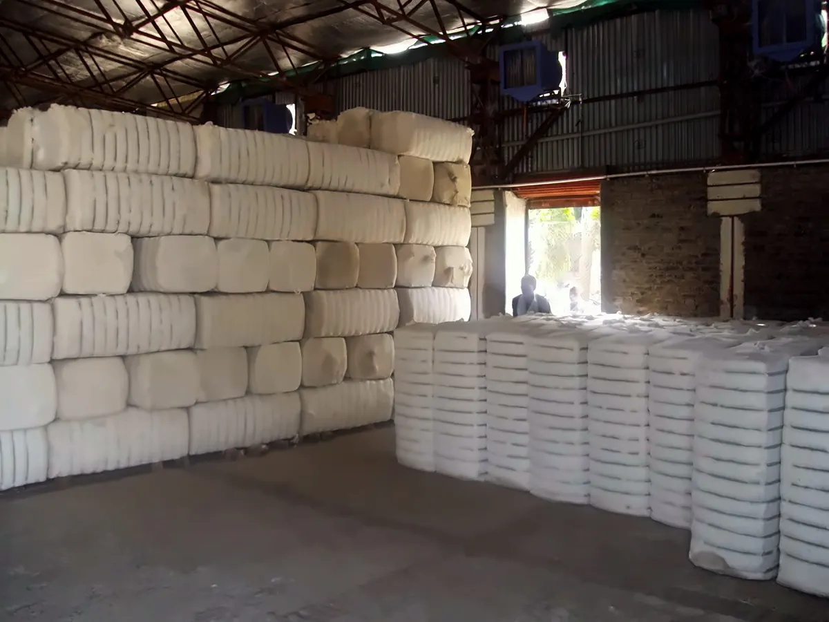 Stacks of cloth-covered cotton bales in the storage hall at J S Cotton Industries