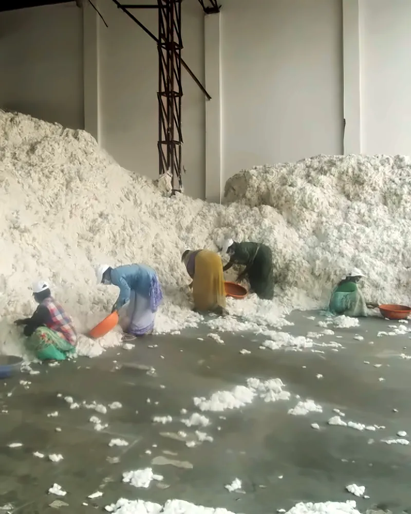 Workers sorting through a heap of seed cotton by hand in the storage hall