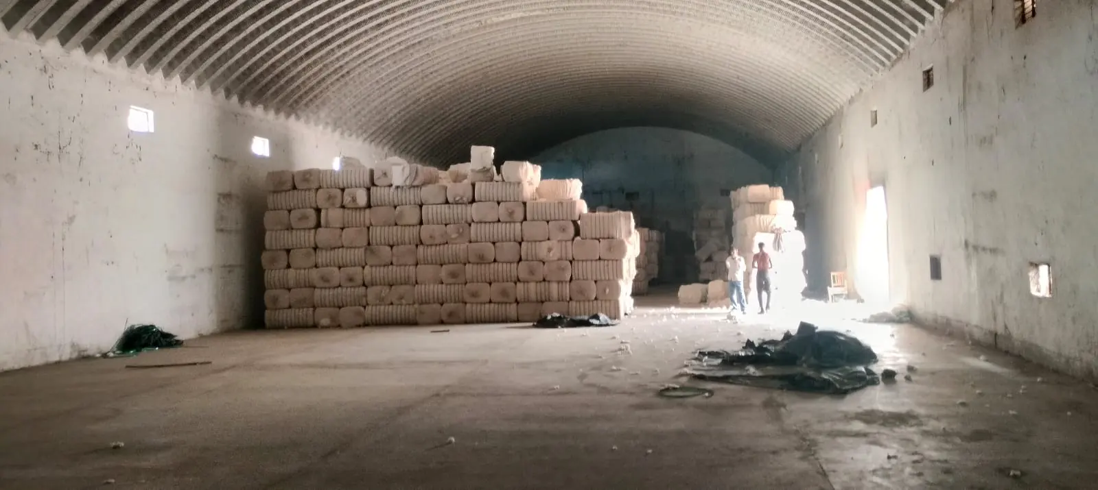 Inside a warehouse chamber with a truss-less vaulted roof and stacked cotton bales